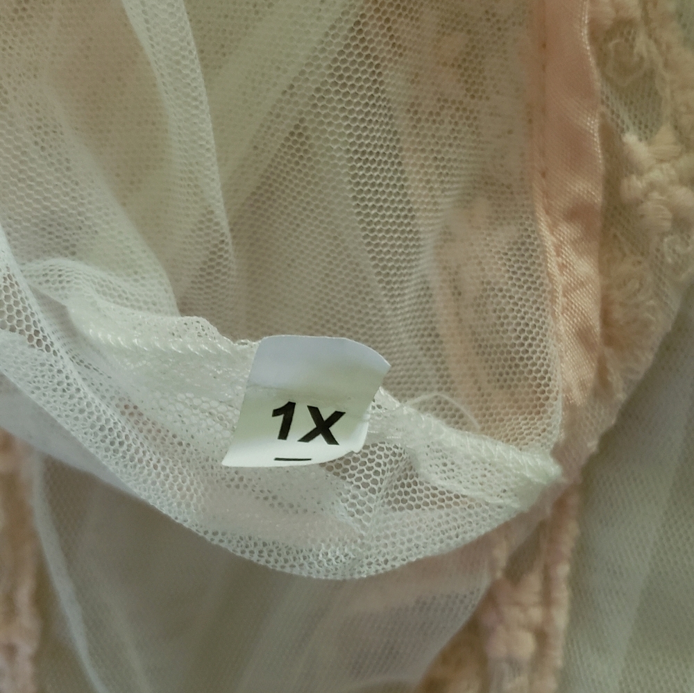 Sheer Dress White Tulle with Blush Crochet Size 1X Ethereal - Picture 5 of 8